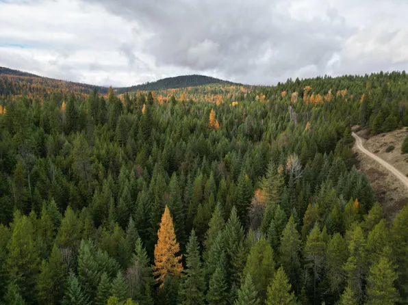 Schlegel Ranch Rd, Ione, WA 99139