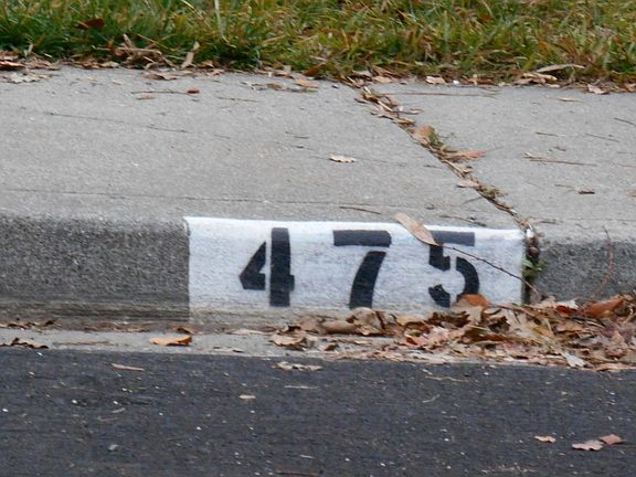 2nd image of 475 Edwin Dr