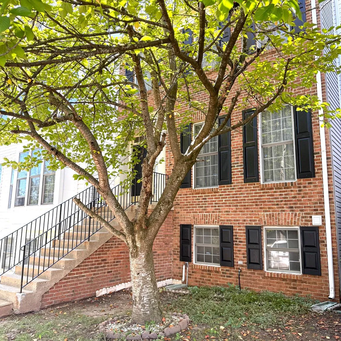 3 bed, 3.5 bath, 2304 sqft, $3,200 — Photo 3