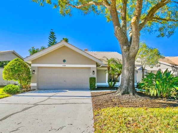 5539 Greyston St, Palm Harbor, FL 34685