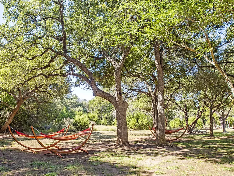 Outdoor green space with hammocks