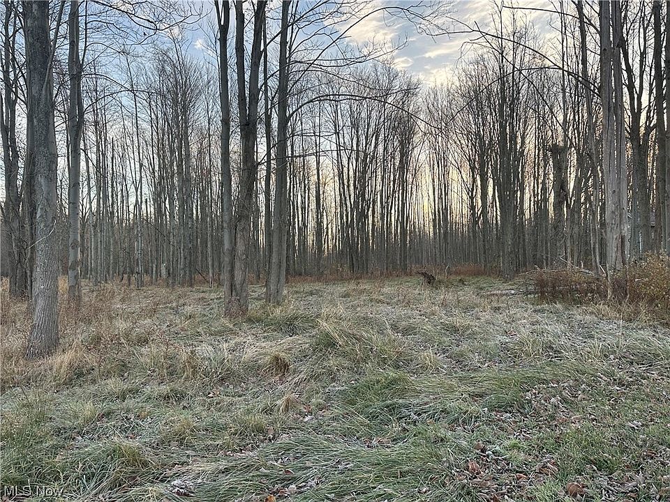 2nd image of V/l Center Road State Rte #45