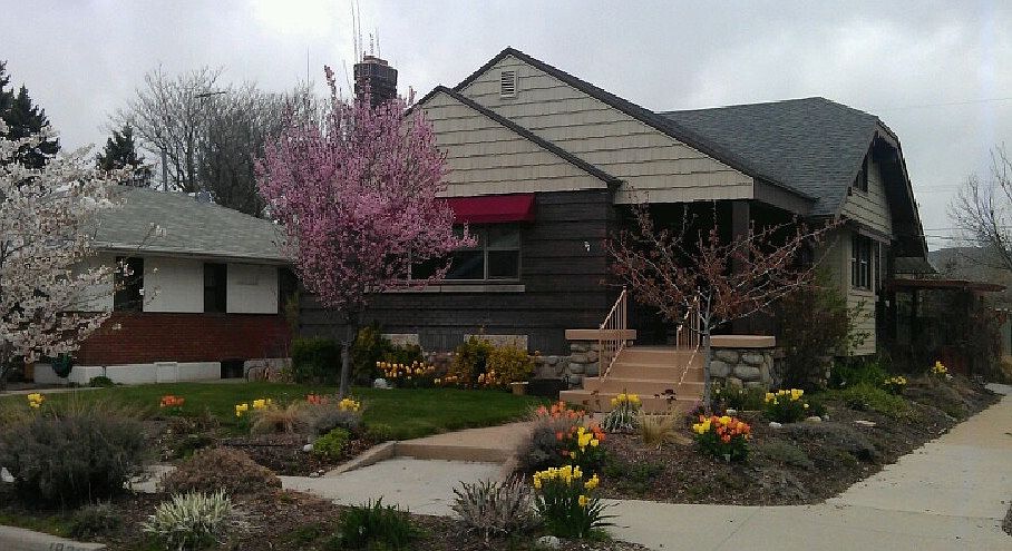 Spring view of home