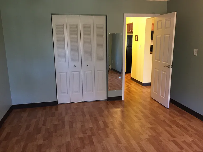 Large closet in bedroom with wall mirror