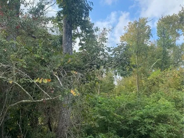 0 Campfire Rd, Lake Charles, LA 70611