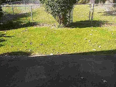 2635 Susan Ct — Photo 2
