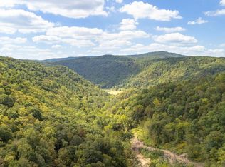 Ellison Ridge Rd, Jumping Branch, WV 25969