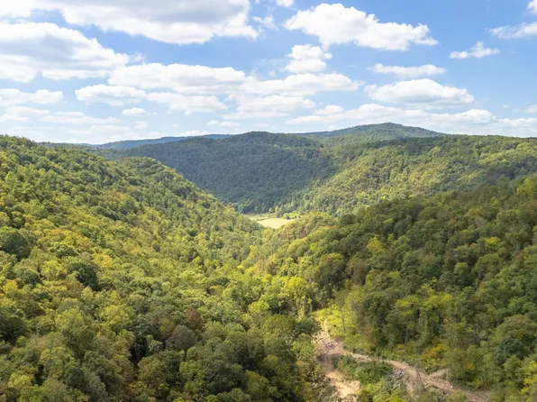 Ellison Ridge Rd, Jumping Branch, WV 25969