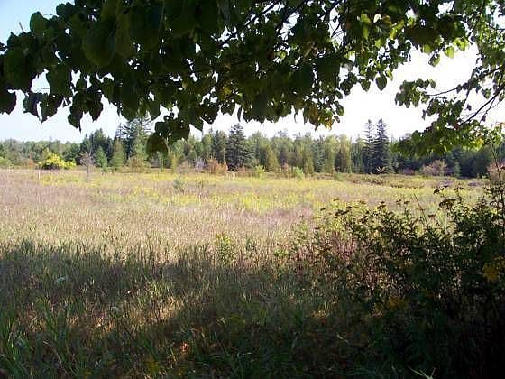 1st image of 6666 County Road A