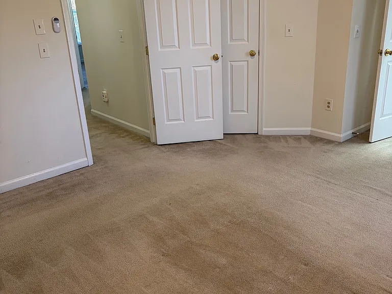 2032 Madrillon Springs Ct — Photo 10
