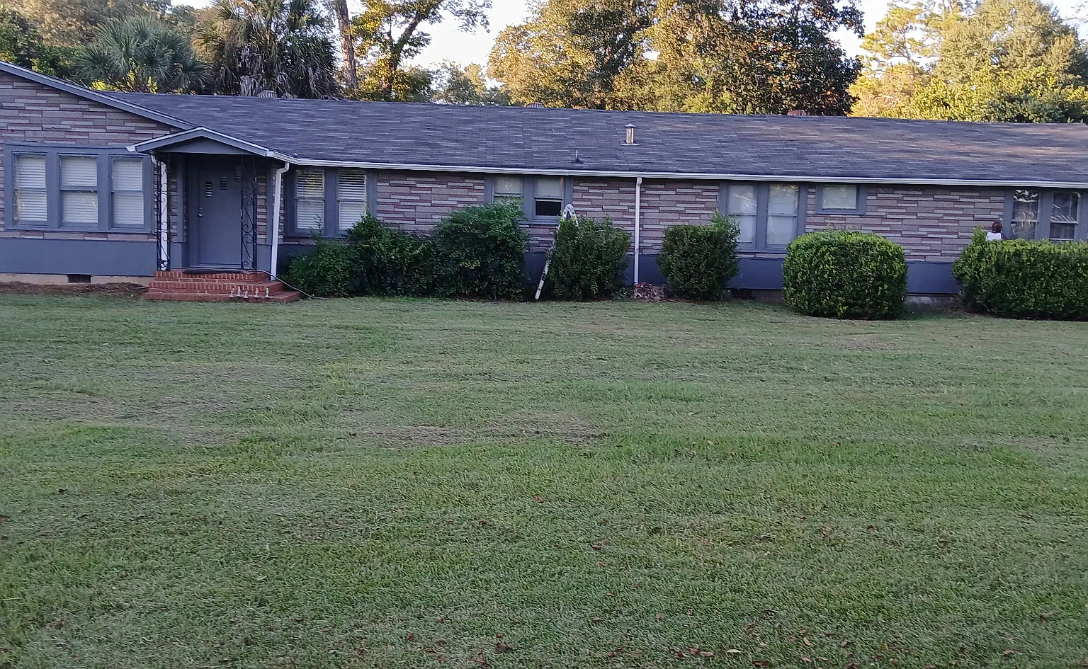 703 Adderton St — Photo 3