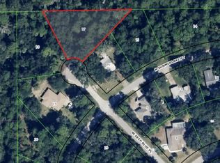 11229 W Deep Blue Pl, Crystal River, FL 34428