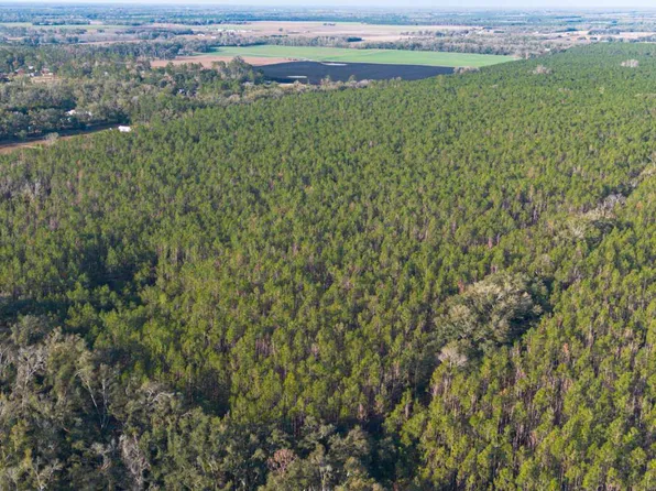 161 Road, Live Oak, FL 32060