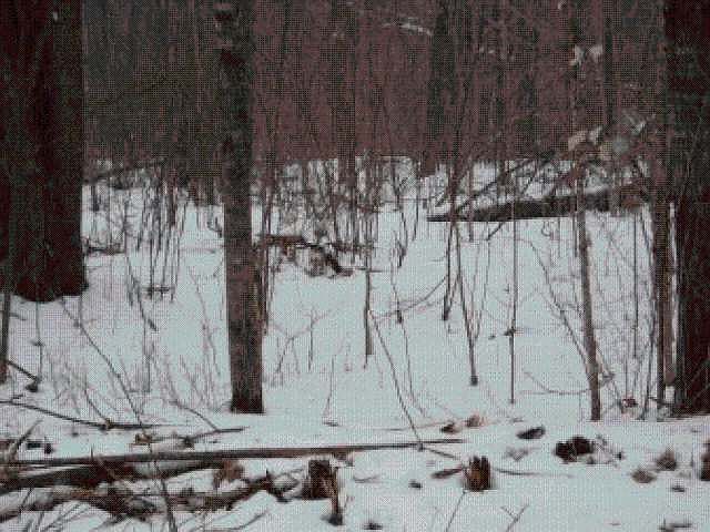 2nd image of On Lake Winter Rd