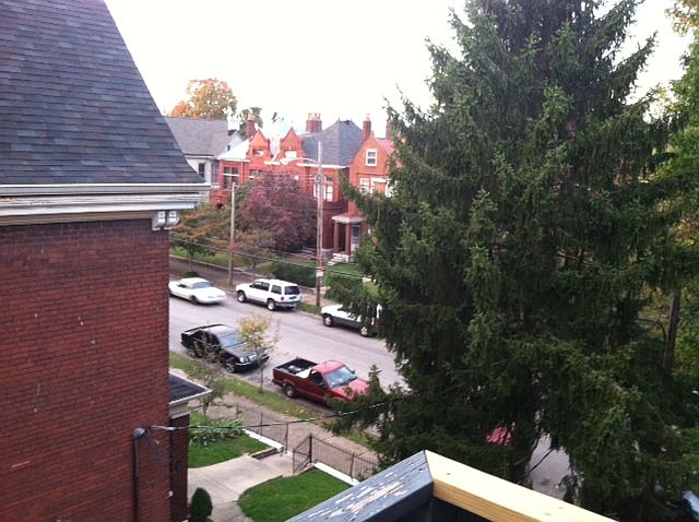 1st image of 516 W Saint Catherine St #3