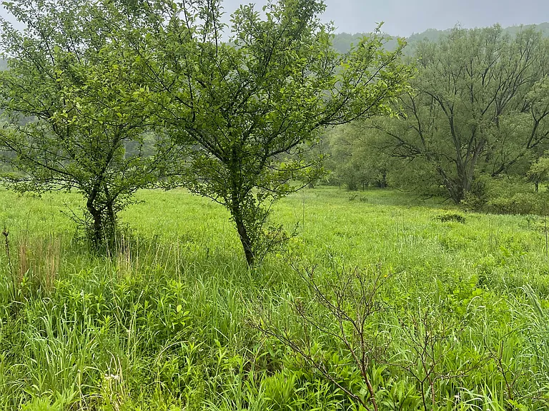 Beautiful property pic