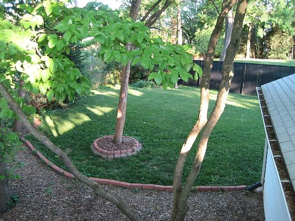 Trees and garden