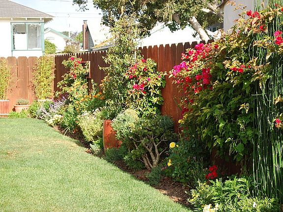 Beautiful Large Backyard