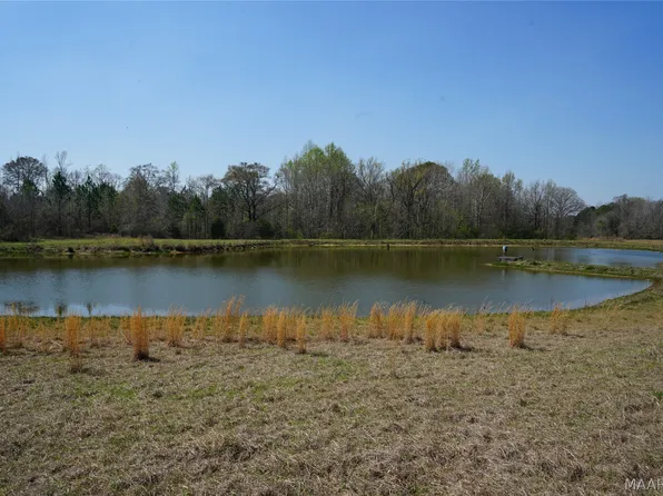 11540 Hobbie Rd, Ramer, AL 36069