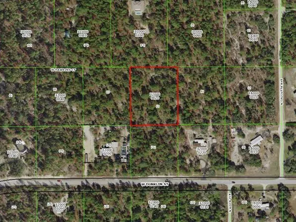 6568 W Hawkings Ct, Dunnellon, FL 34433