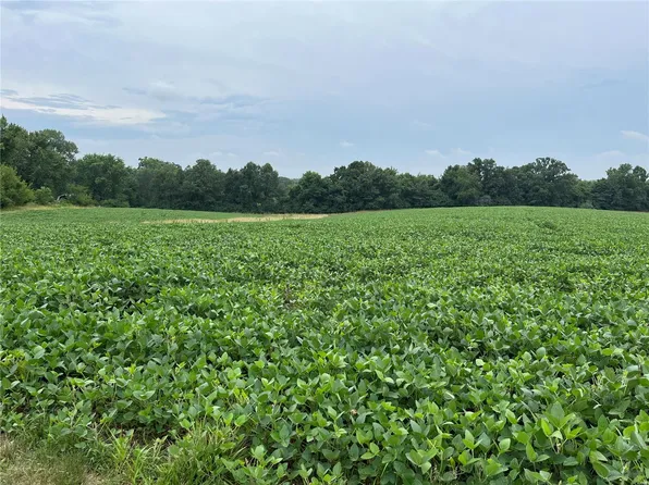 0 Highway Y, Foley, MO 63347