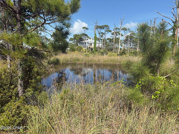 3rd image of Cape San Blas Rd