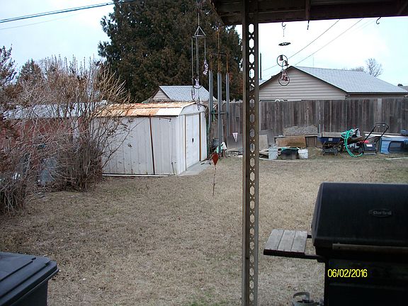 Back yard