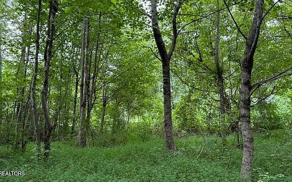 4th image of 0 Calderwood Hwy