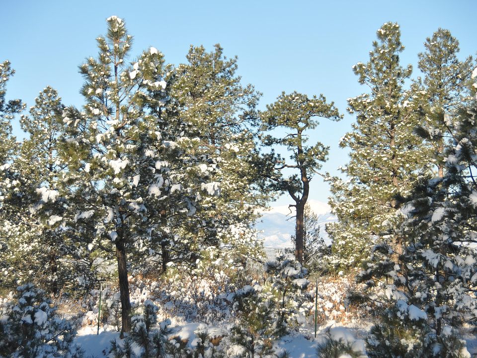 1st image of Mountain Vw