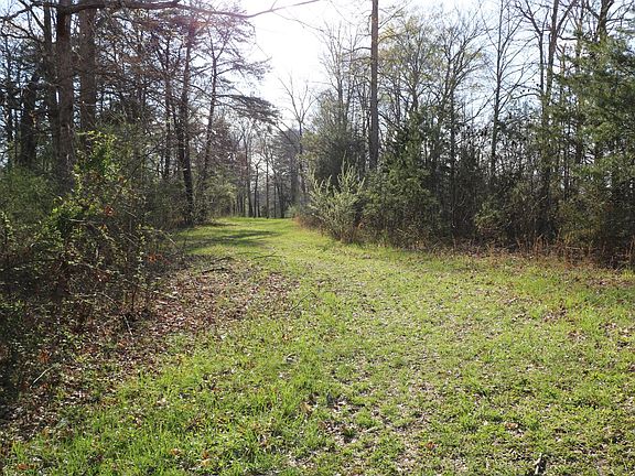 2nd image of 7 Twin Creek Est