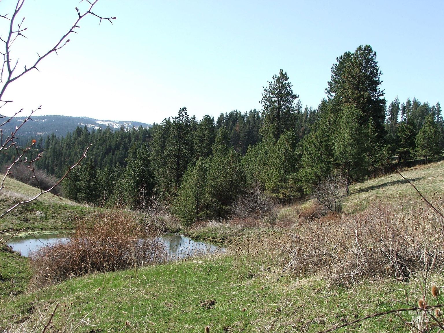 226 Kerlee Ridge Rd, Cottonwood, ID 83522 MLS 98875808 Zillow