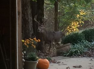 5036 Springhole Rd, Rudy, AR 72952