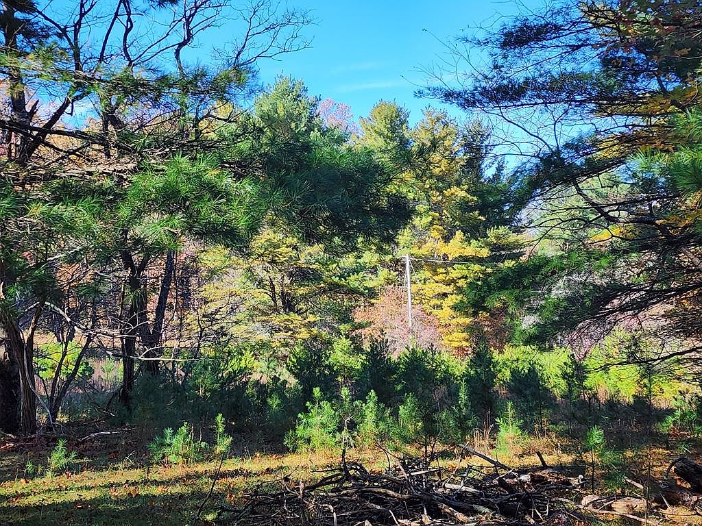 711 Overlook Trl, Fancy Gap, VA 24328 MLS 84630 Zillow