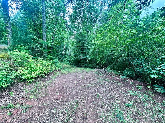 4th image of 5 Antler Ridge Ln