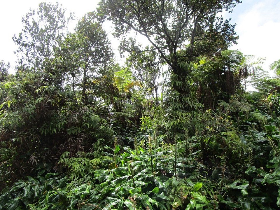 2nd image of Kalaninauli Rd Lot 137