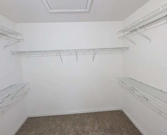 584 Douglas Ln — Photo 7