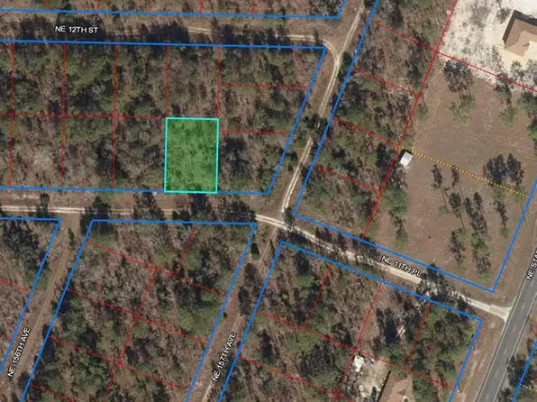 NE 11th Pl Lot 24, Williston, FL 32696
