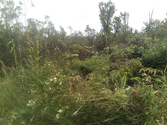 2nd image of Mikana St Lot 31