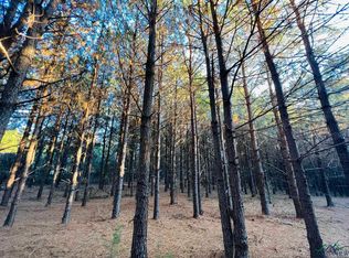 County Road 3659, Queen City, TX 75572