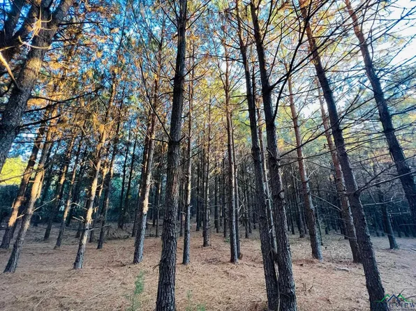 County Road 3659, Queen City, TX 75572