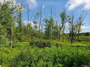 0 Ward Rd, Orchard Park, NY 14127