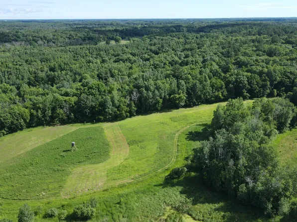 37102 Grandy Pines Rd NE, Stanchfield, MN 55080