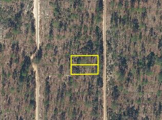 423 Dothan St LOT 20, Interlachen, FL 32148