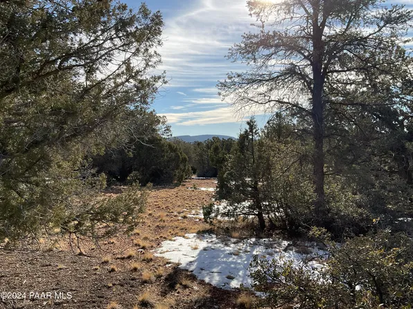 LOT 966 W Rocking Dog Rd, Seligman, AZ 86337