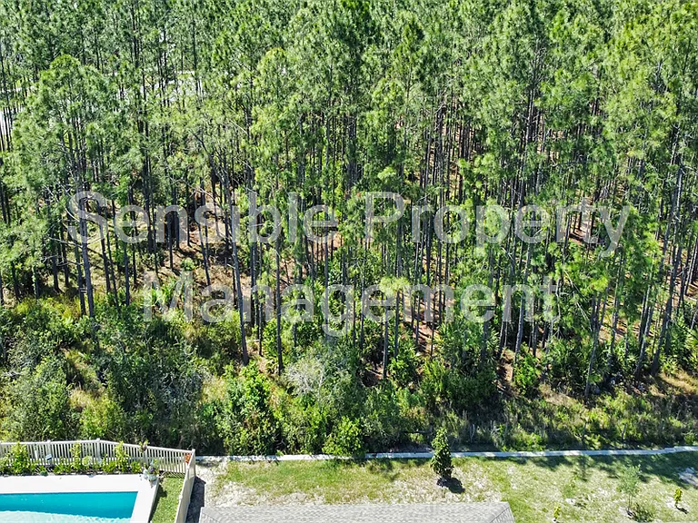 18334 Serene Lake Loop — Photo 24