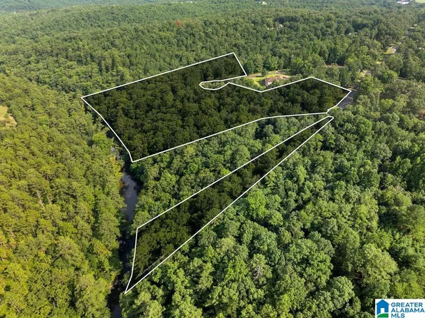0 Estate Ln #2, Jasper, AL 35504