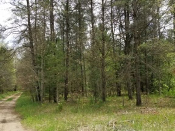 3rd image of 3152 N Kings Hwy