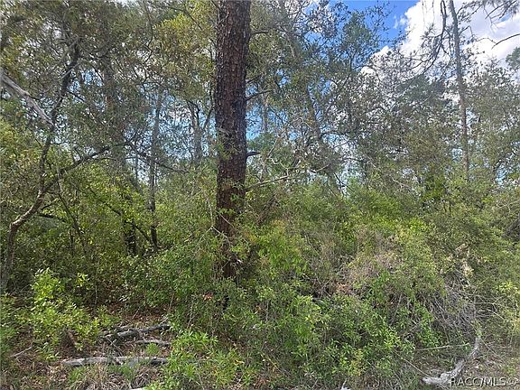 3rd image of LOT 6 SW 170th Pl