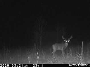 Martin Creek Rd, Williford, AR 72482