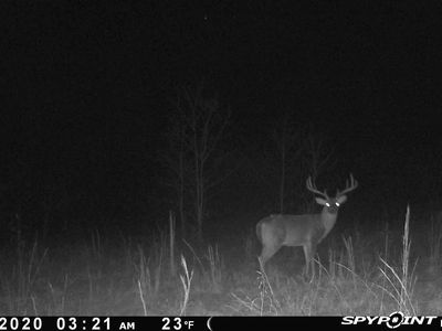Martin Creek Rd, Williford, AR, 72482